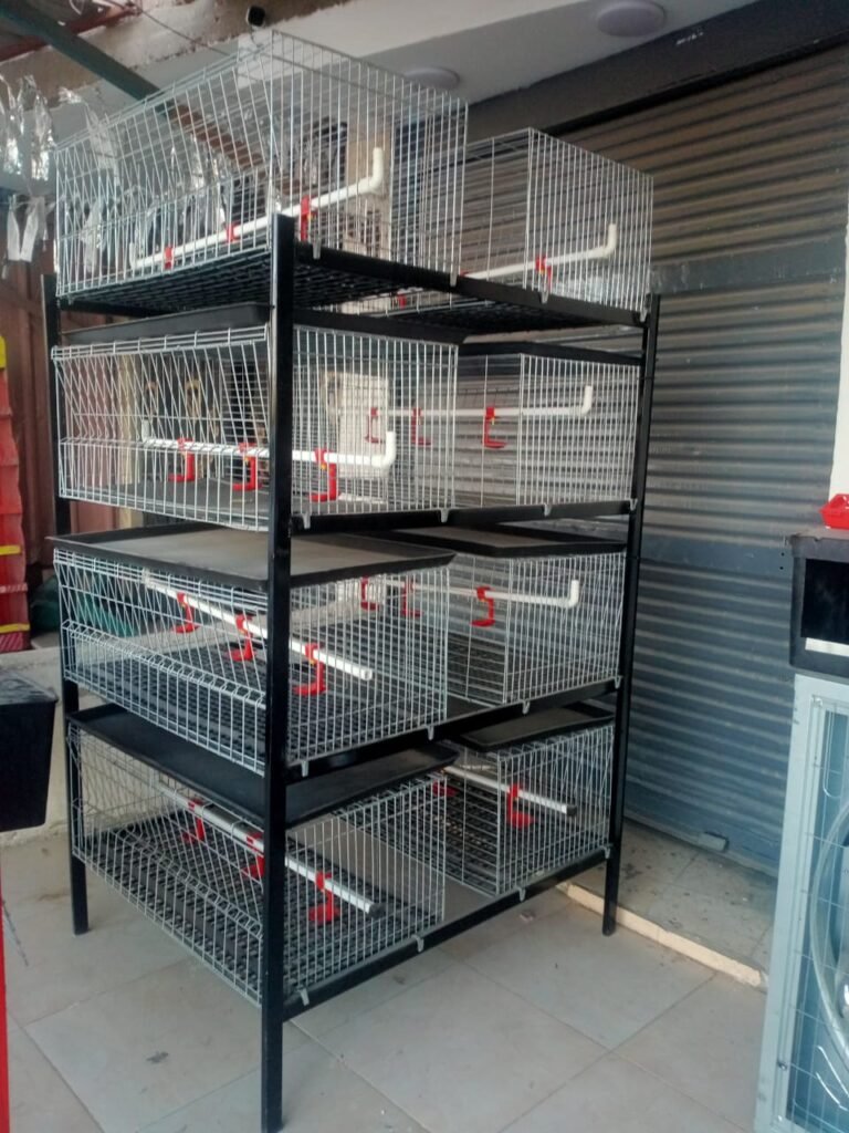 دليل شامل لأسعار وشراء مستلزمات بطاريات الدواجن في السوق العربي