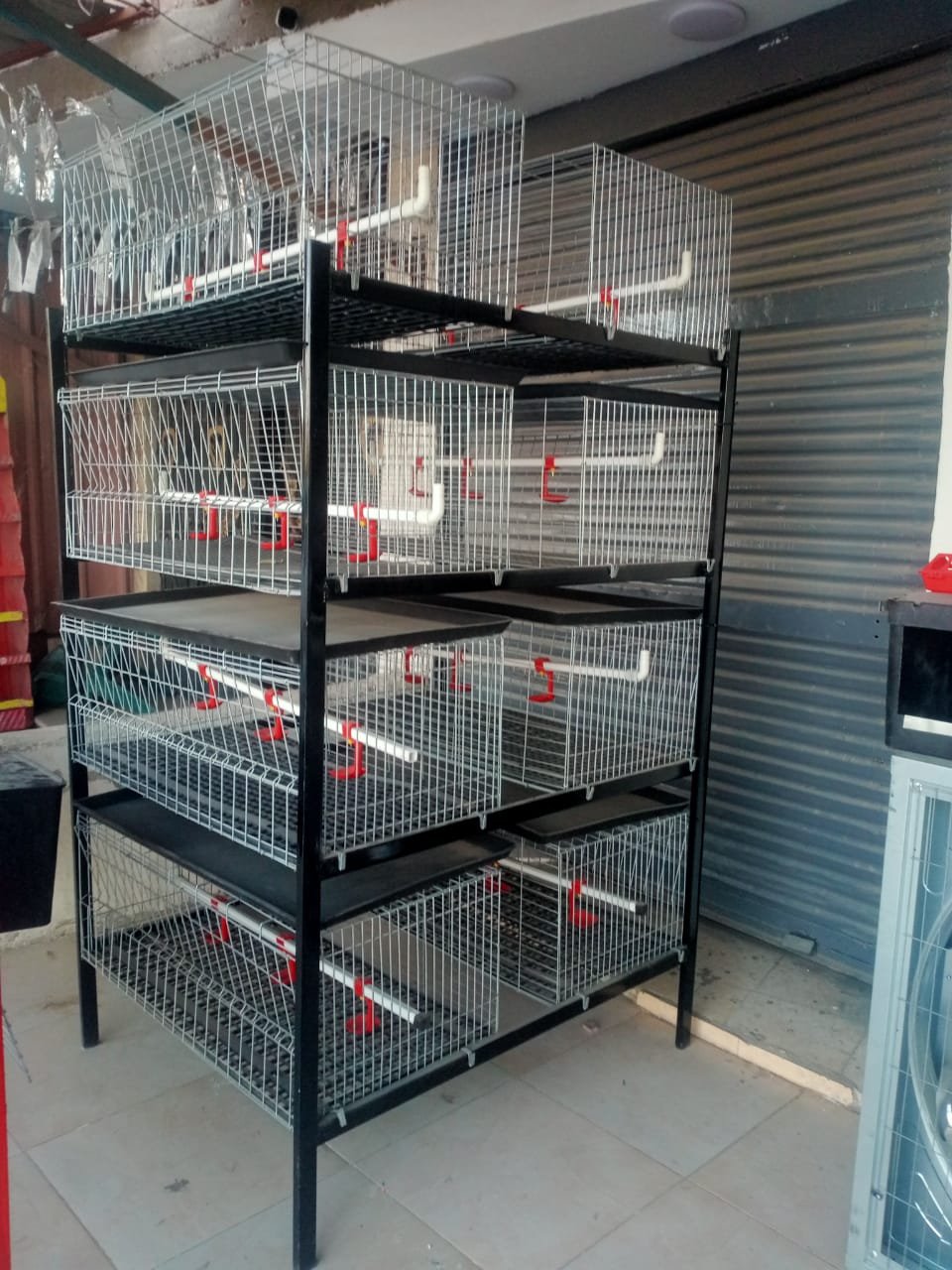 دليل شامل لأسعار وشراء مستلزمات بطاريات الدواجن في السوق العربي