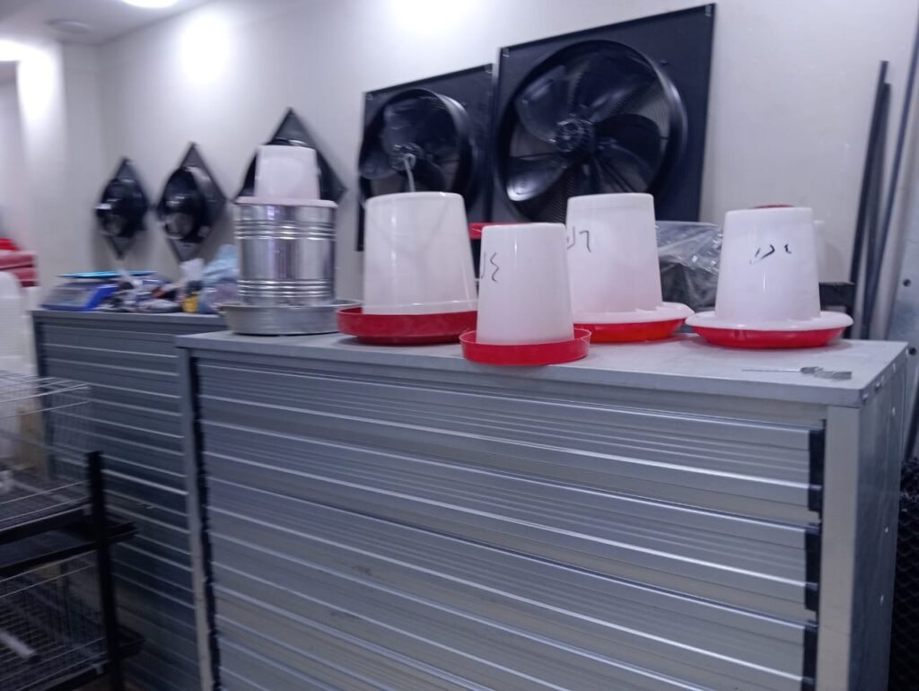 فوائد مستلزمات بطاريات الدواجن في زيادة الإنتاجية لمزارعك